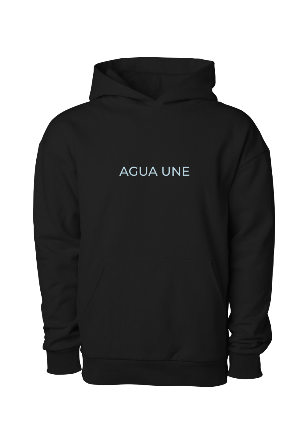 Agua Une Boulevard Heavyweight Pullover Hoodie