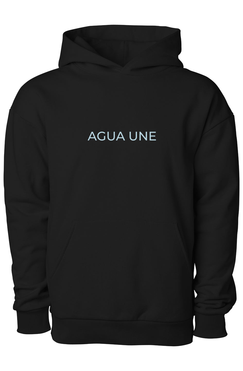 UW Boulevard Heavyweight Pullover Hoodie
