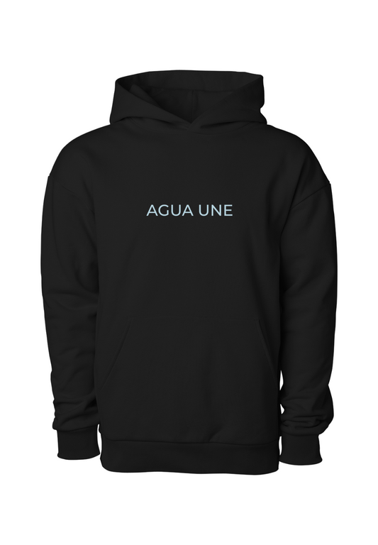 Agua Une Boulevard Heavyweight Pullover Hoodie
